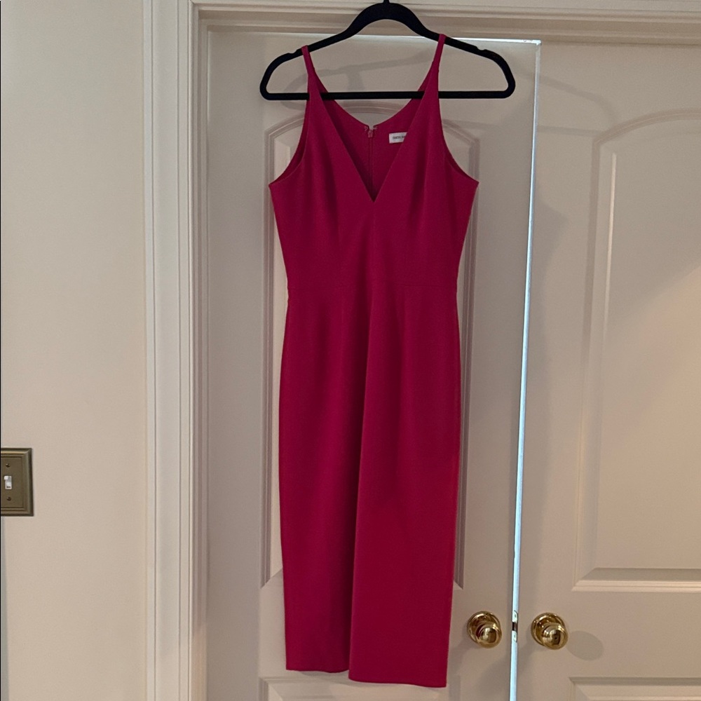 Dress the Population Fuchsia Midi Dress